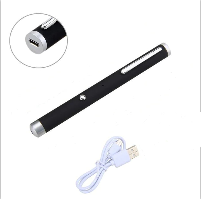 Laser Pointer with Infrared for Model Display
