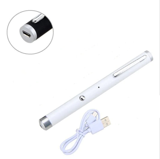 Laser Pointer with Infrared for Model Display